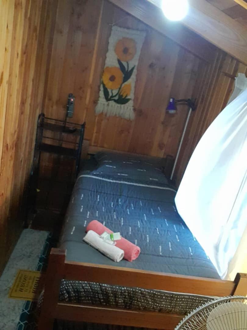 ויאריקה Hostal Newen מראה חיצוני תמונה